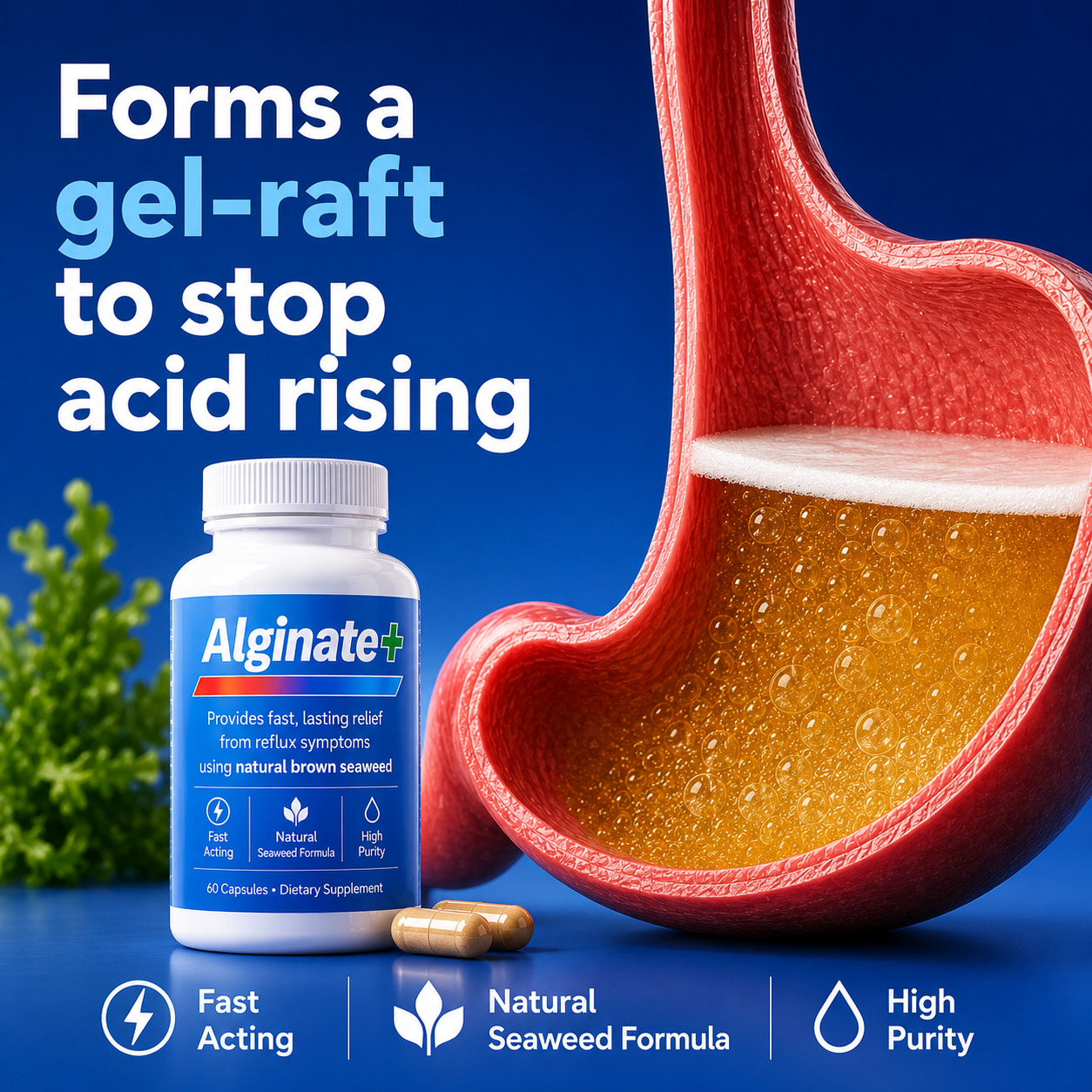 AlginatePlus Capsules
